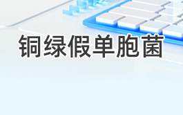 銅綠假單胞菌
